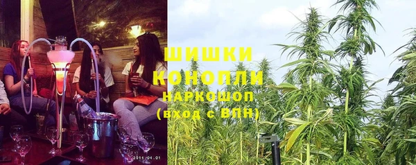 apvp Володарск