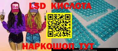 ГАЛЛЮЦИНОГЕННЫЕ ГРИБЫ Кулебаки
