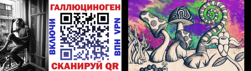 kraken ONION  Елец  Галлюциногенные грибы Magic Shrooms 